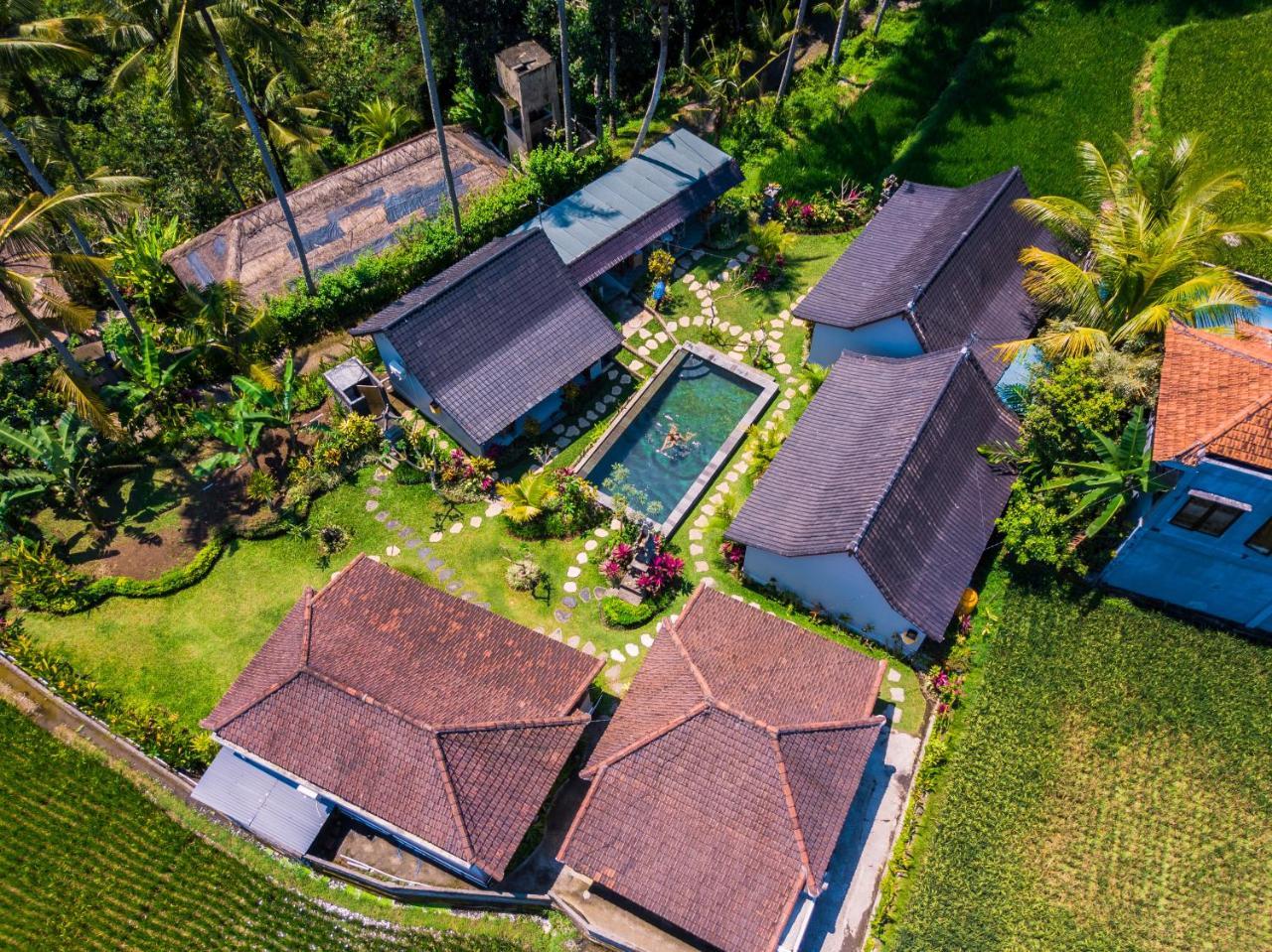 Buda Lodge Ubud