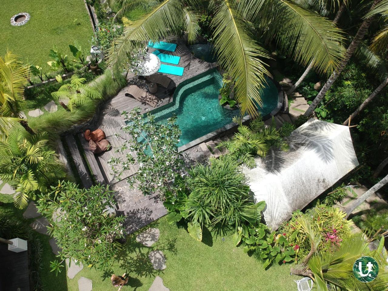 Tropical Hostel