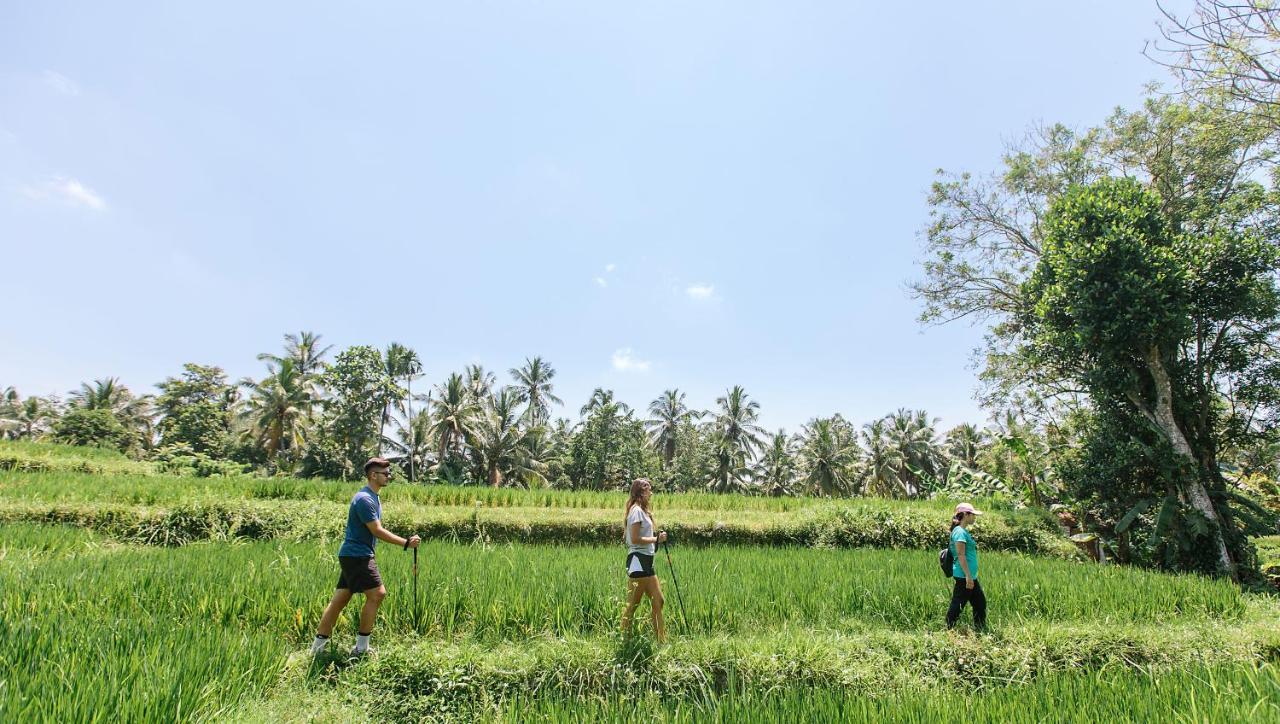 Tejaprana & Resort Ubud (Bali)