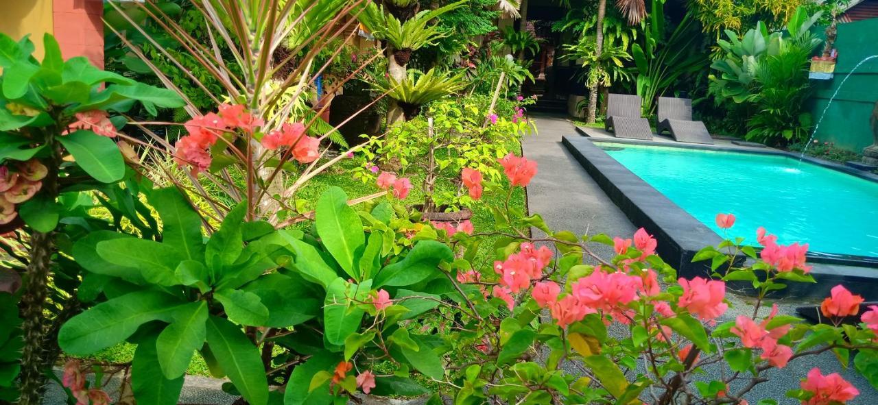 Guest house Secret Garden Sky