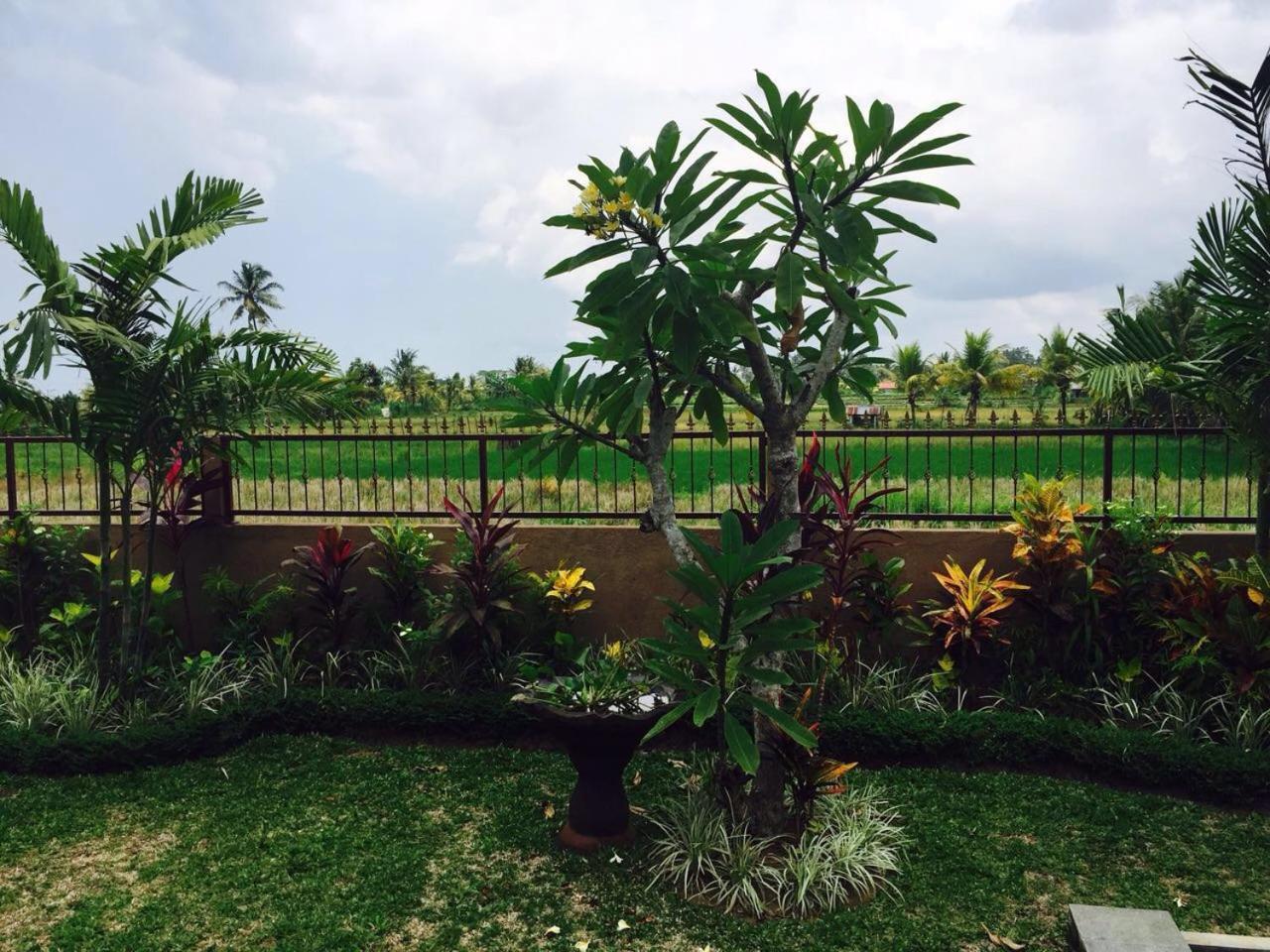 Bali Green Villa *