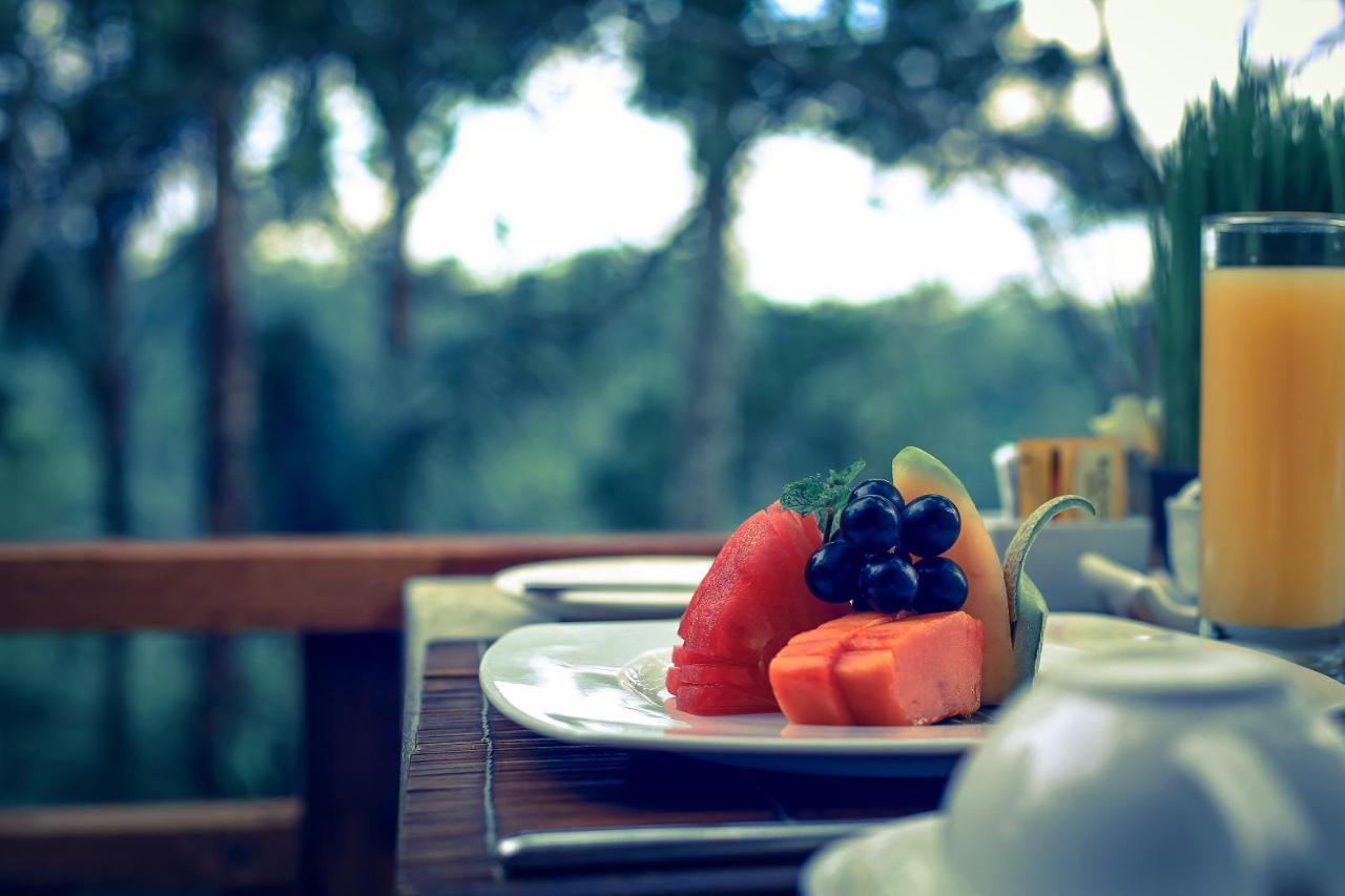 Sunia Jungle Ubud (Bali)