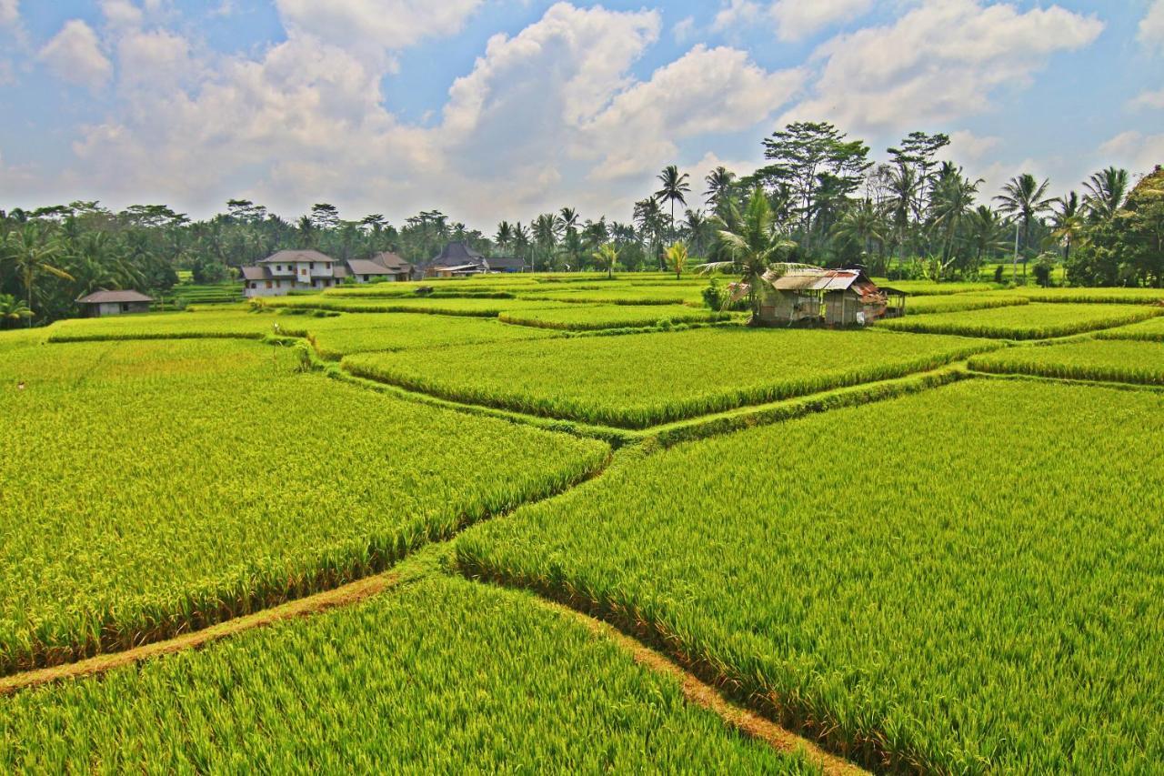 Greenfield Luxury Ubud (Bali)