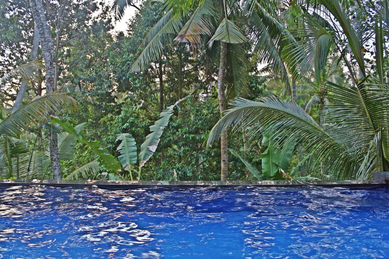 Greenfield Luxury