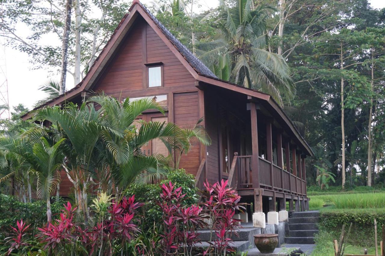 Beingsattvaa Luxury 4* Ubud
