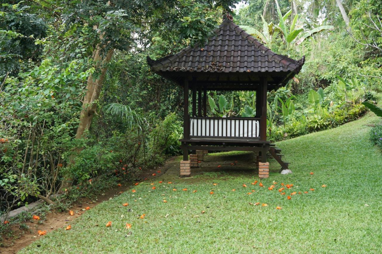 Beingsattvaa Luxury Resort 4*