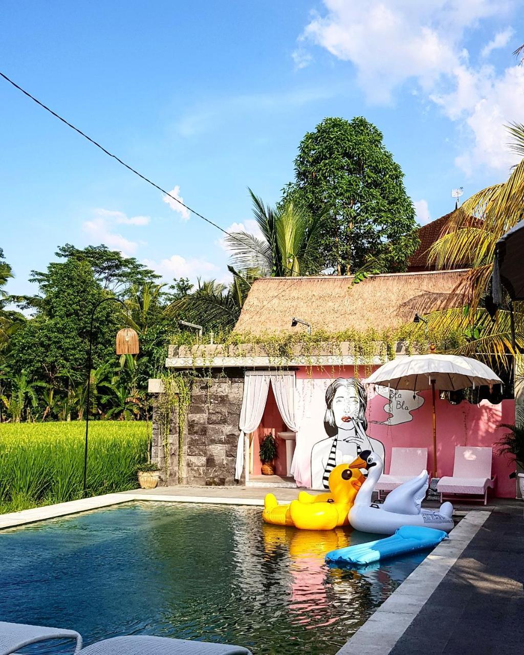 Pillow * Ubud