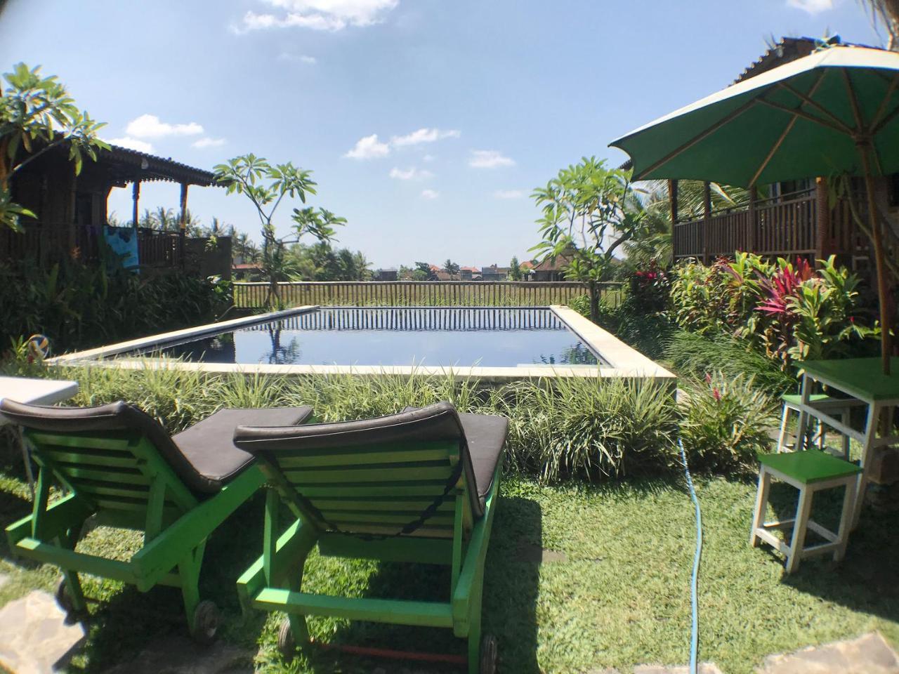 Albergue Paddy & *