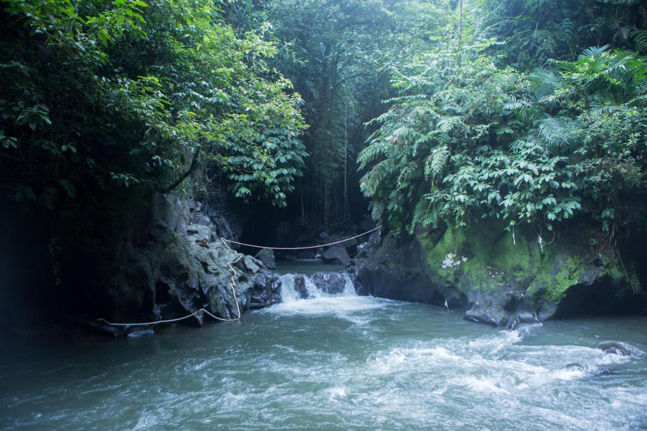 Anahata And Ubud (Bali)