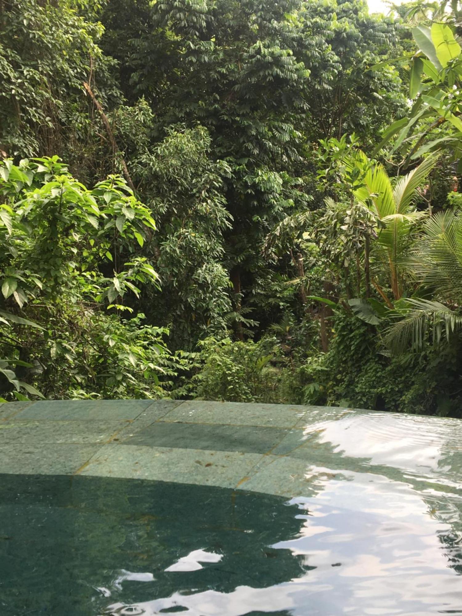 Raka Rai Guest house 2*