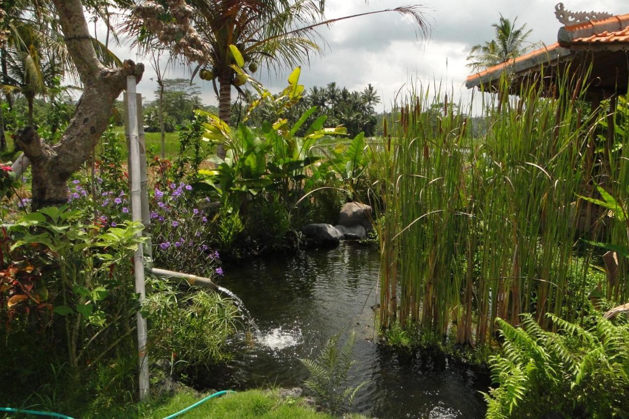 Guest house Bali Sawah Indah *