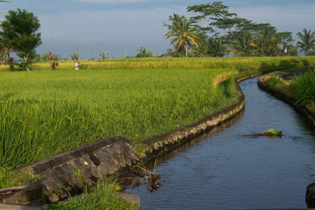 Bali Sawah Indah Guest house