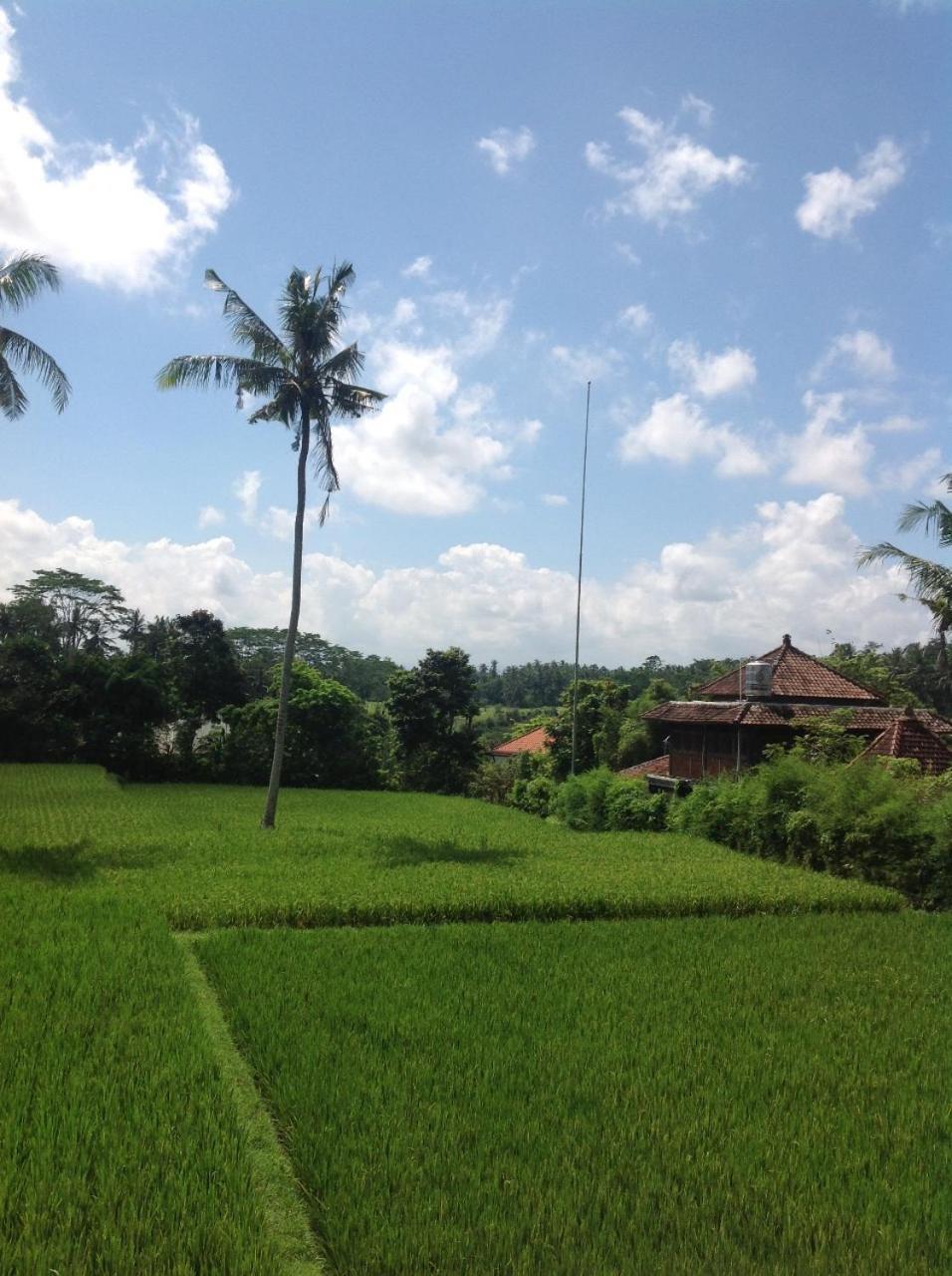 Uma Dhari By Prasi Ubud (Bali)