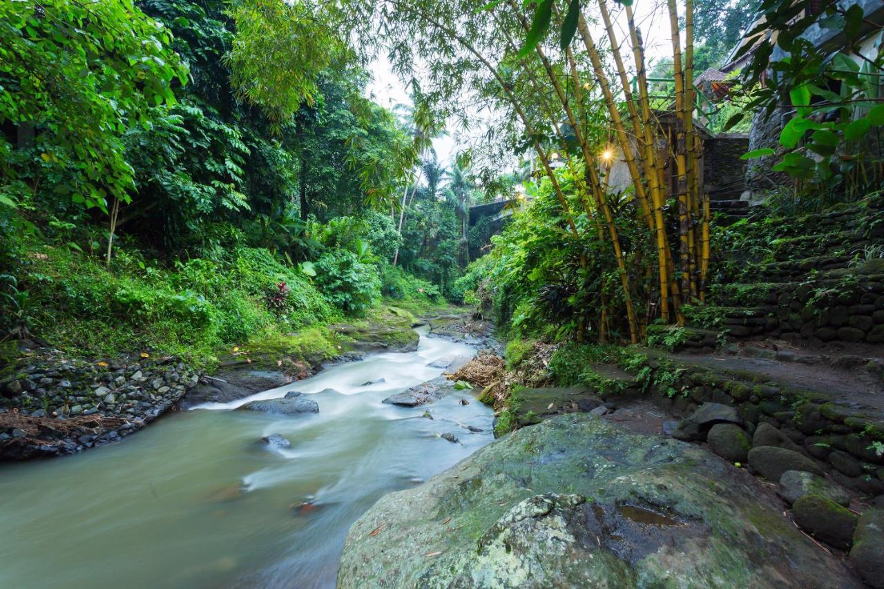 Ani's Ubud (Bali)