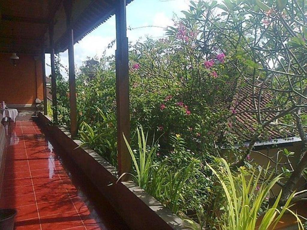 Citrus Tree - Hutama Guest house