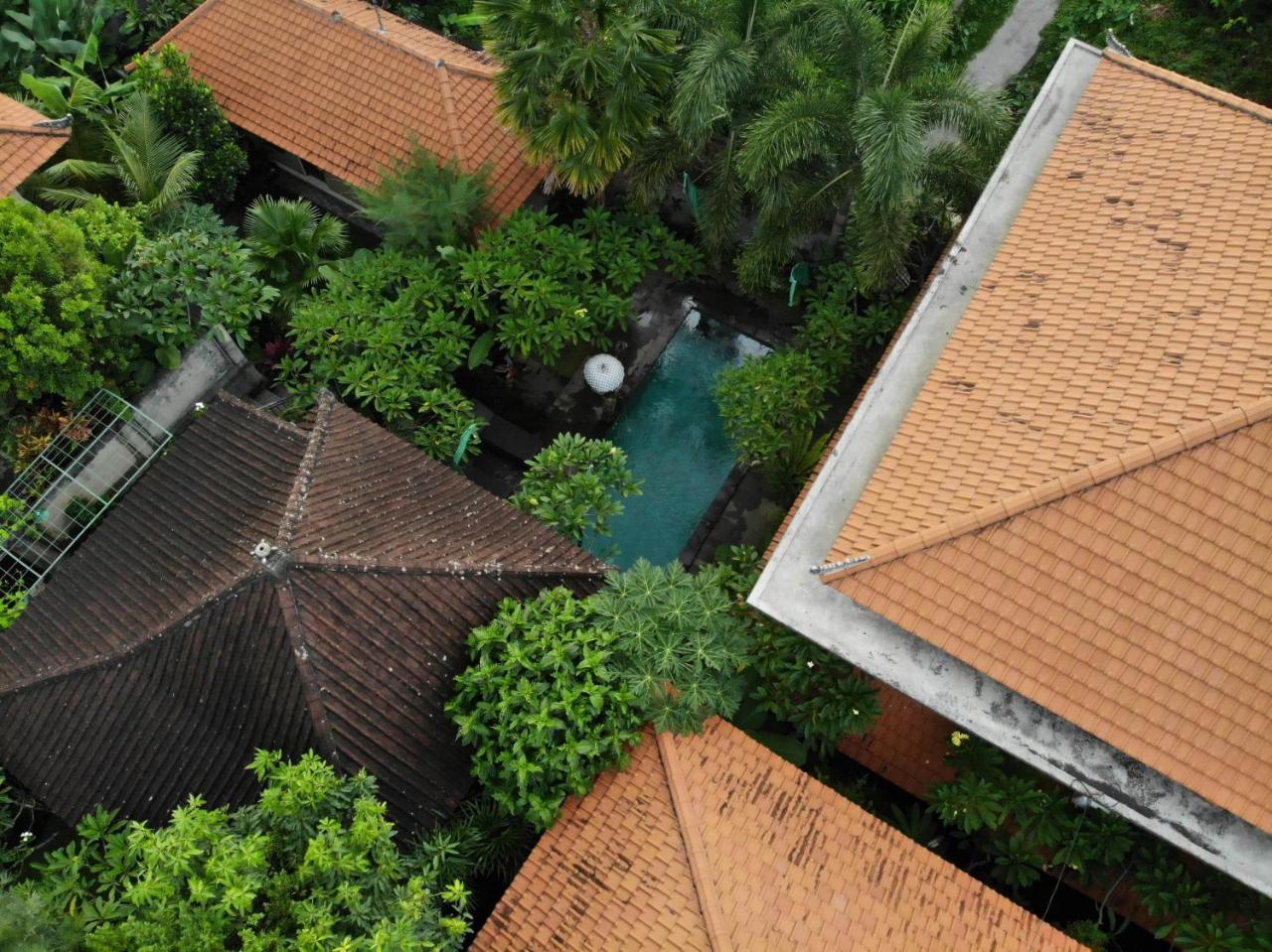 Jiwa's House 2*