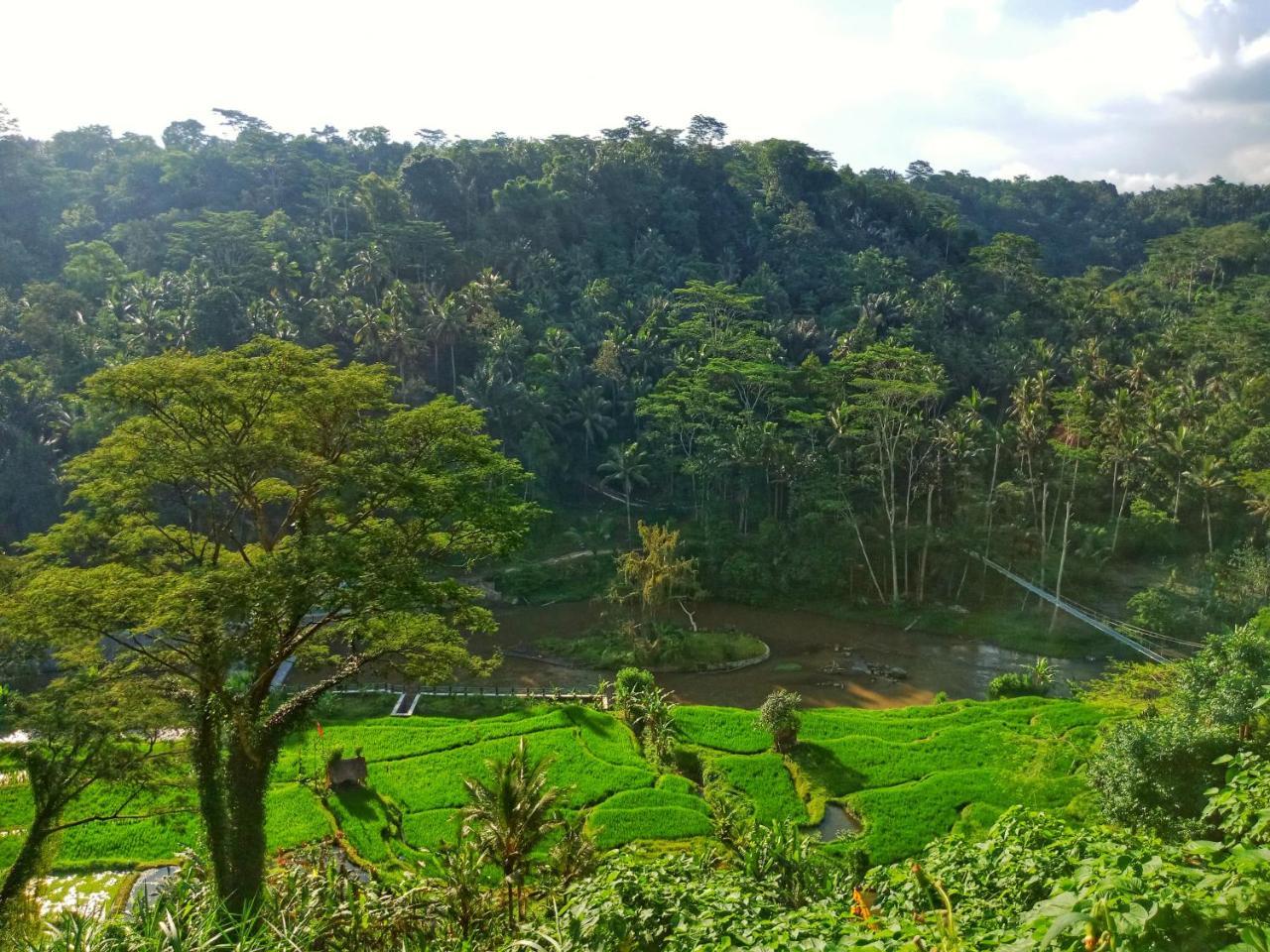 Puri Bunga Resort Ubud (Bali)