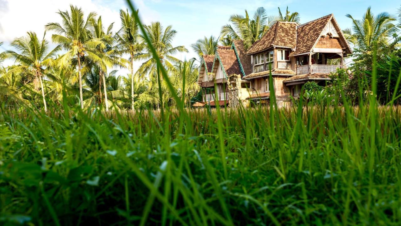 Guest house The Rice Joglo Eco-stay *