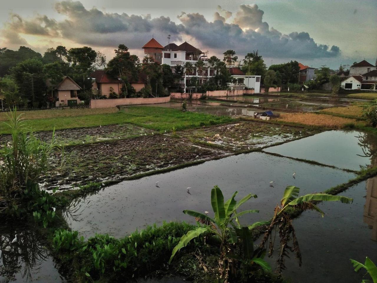 Guest house Nuriani
