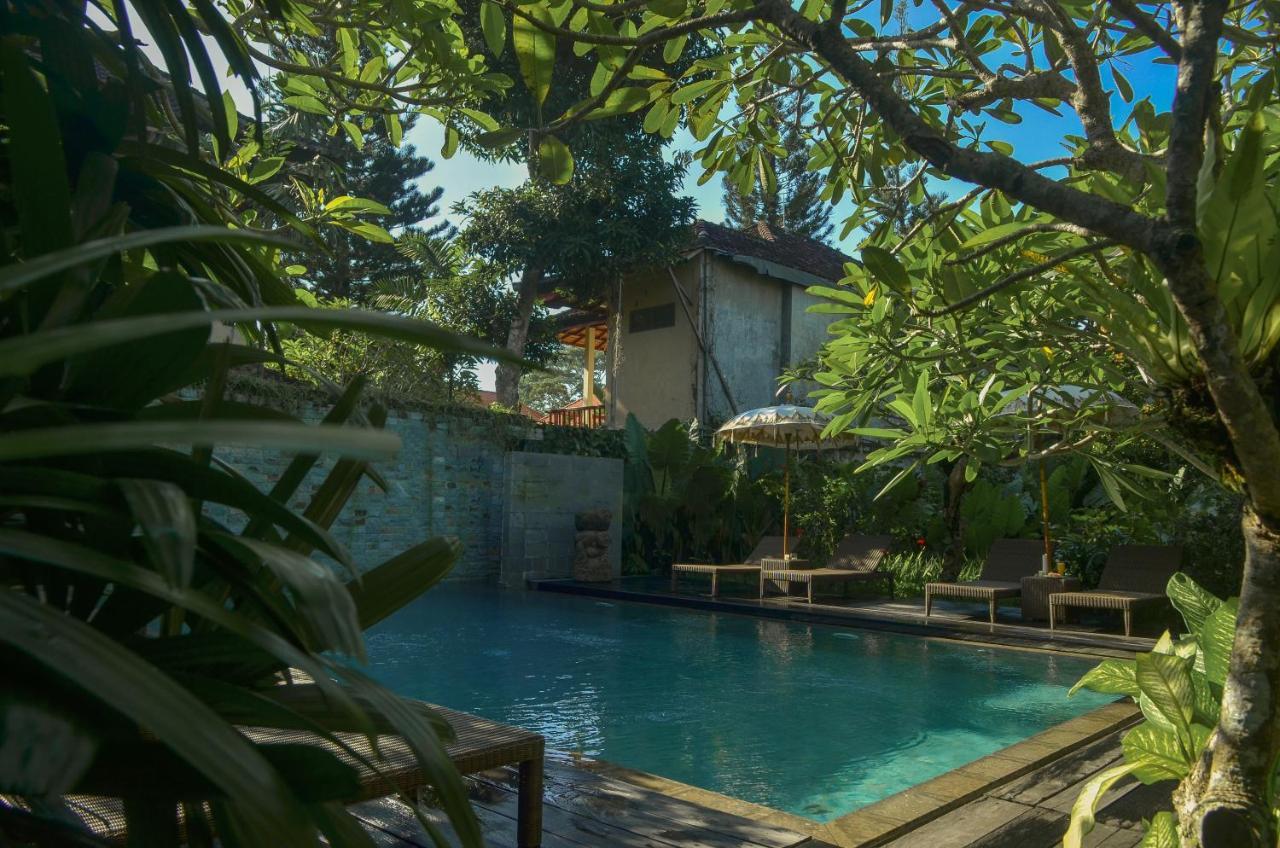 Bumi Muwa At Monkey Forest Guest house Ubud (Bali)