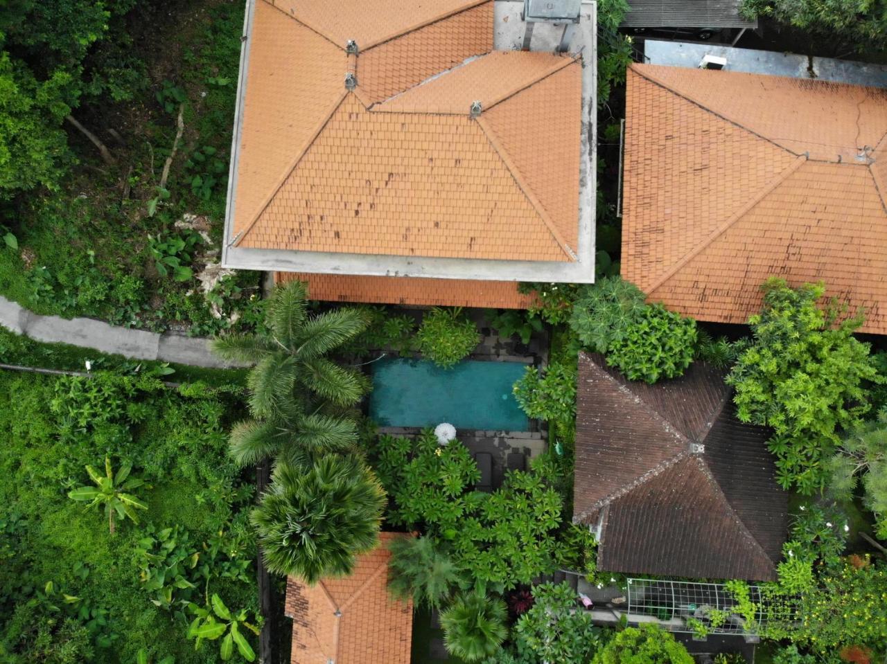 Wisma tamu Jiwa's House Ubud (Bali)