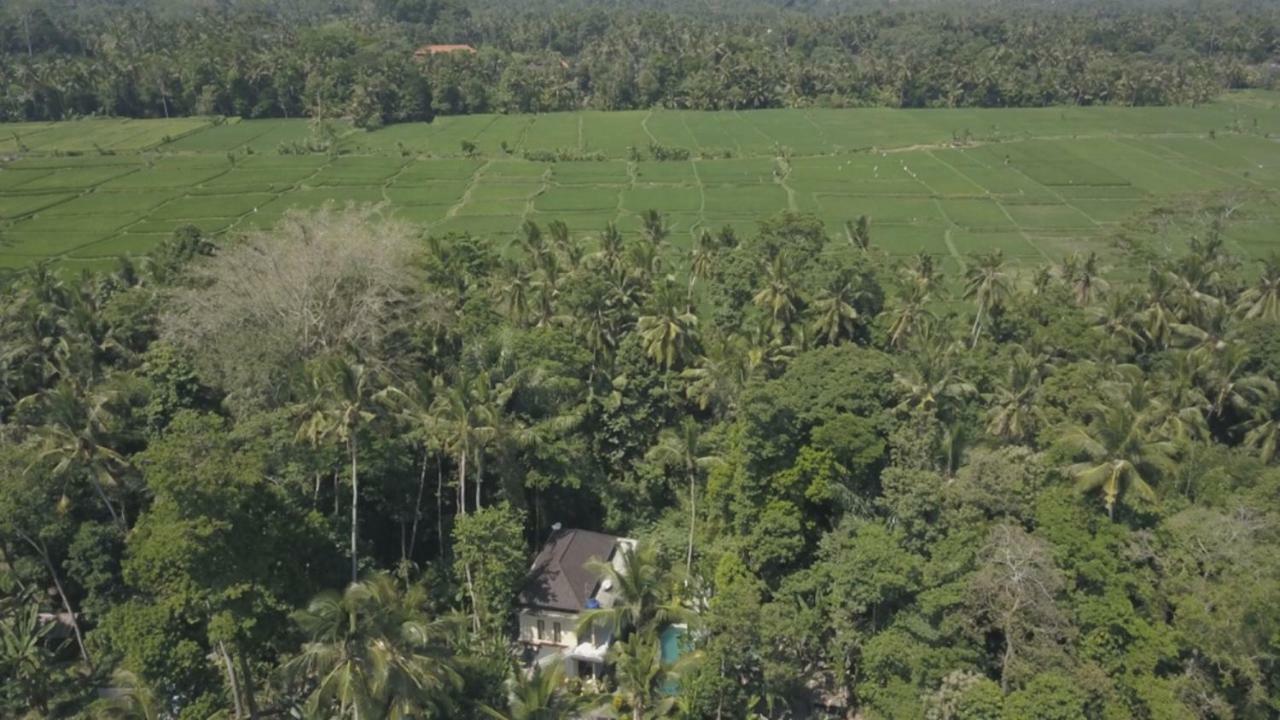 Junjungan Ubud (Bali)