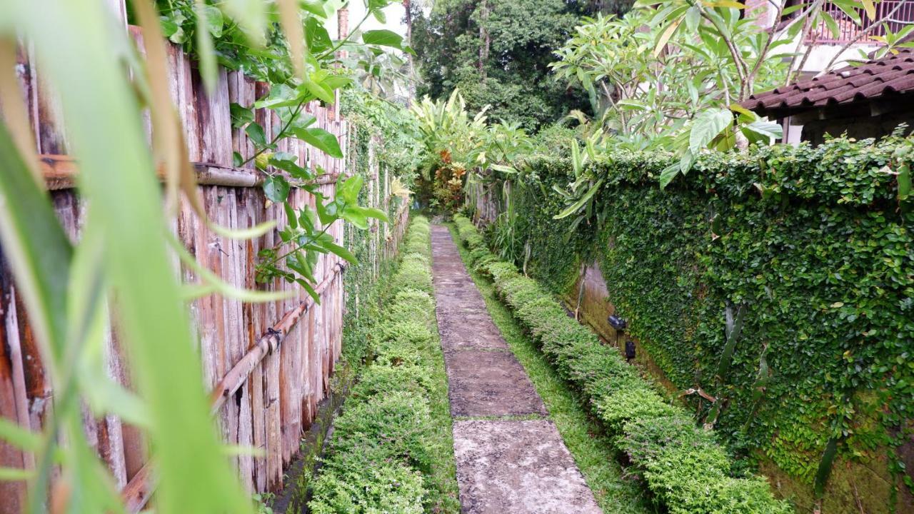 Guest house Junjungan Ubud (Bali)
