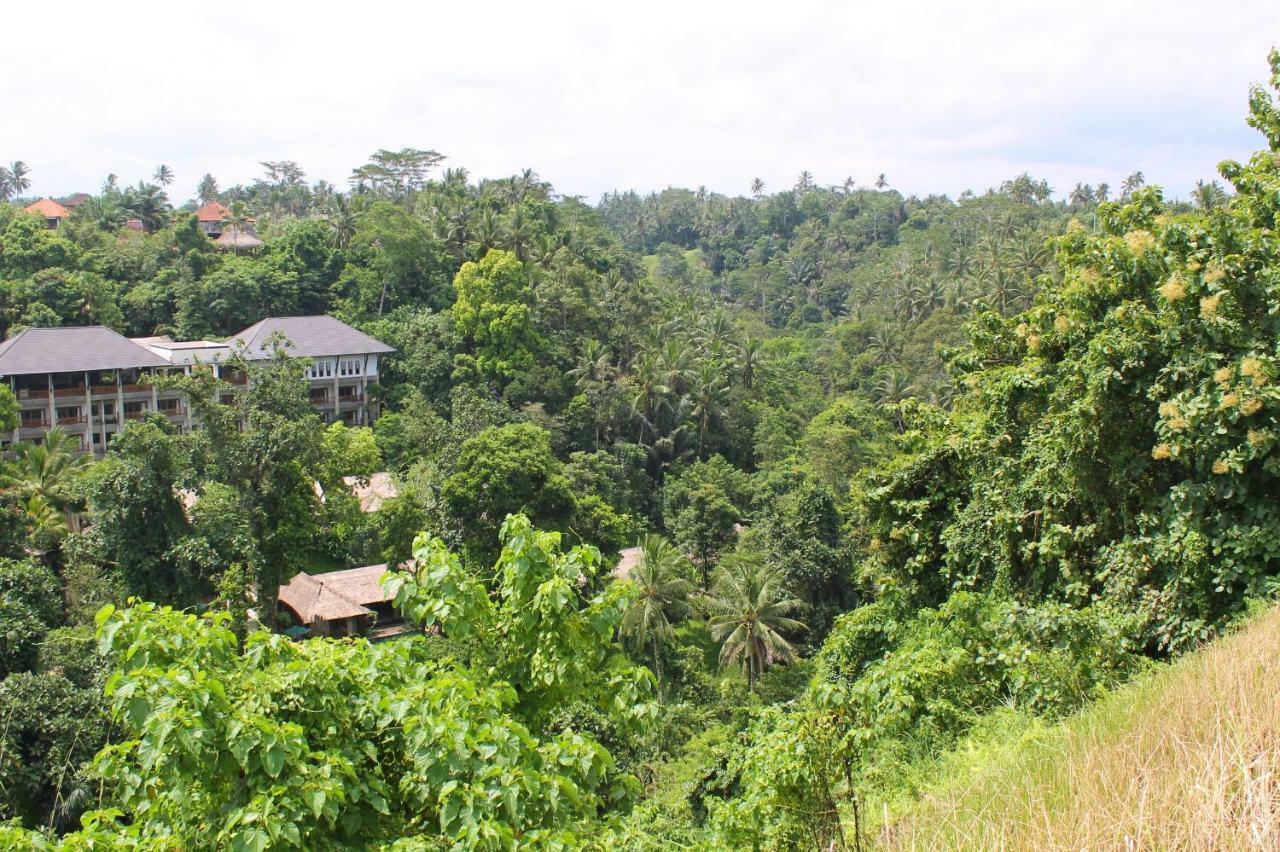 Joglo Campuhan Village *