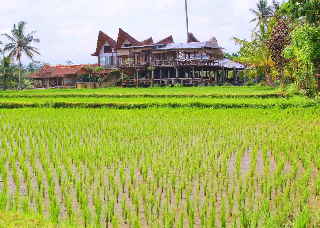 Joglo Campuhan Village Resort Ubud (Bali)