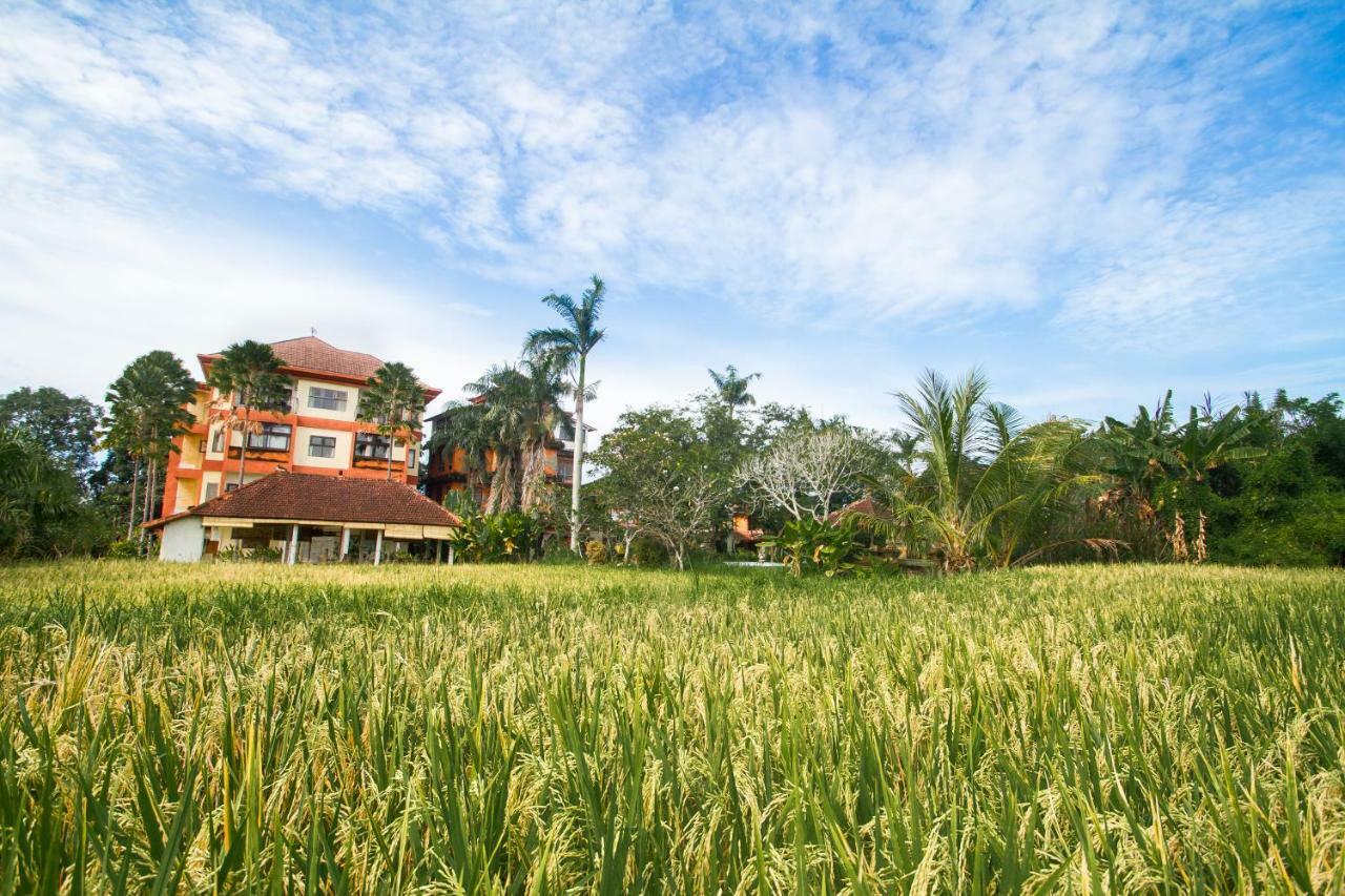 Suly Vegetarian & 3* Ubud