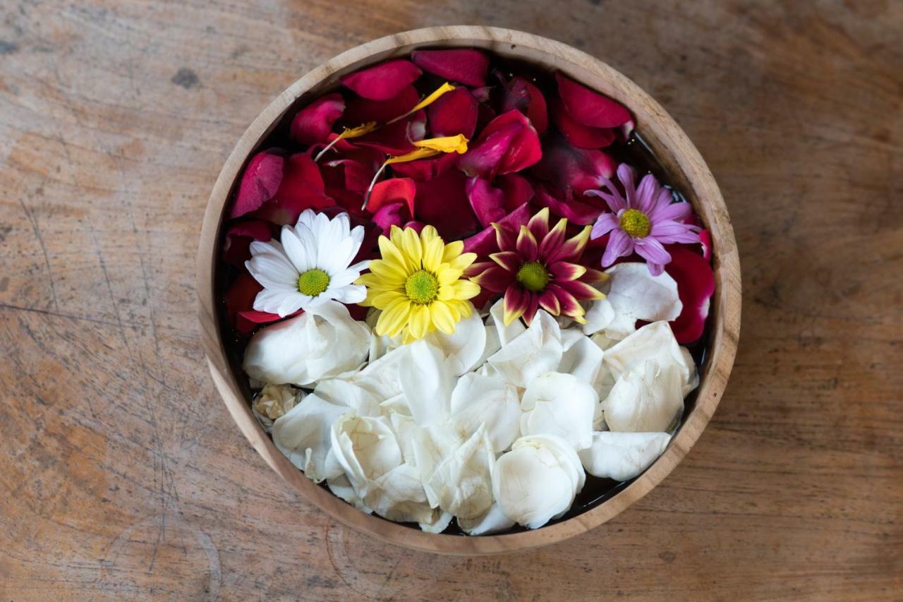 Ari Ubud (Bali)