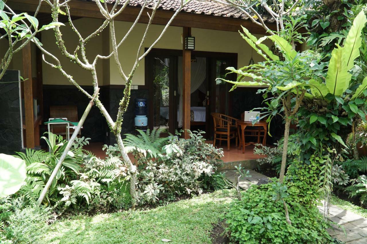 Wisma tamu Jiwa's House Ubud (Bali)