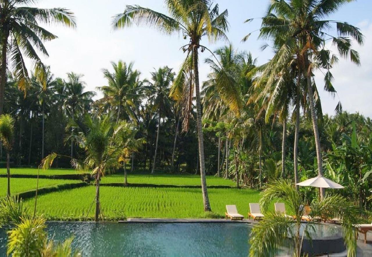 Bhanuswari Resort 4*