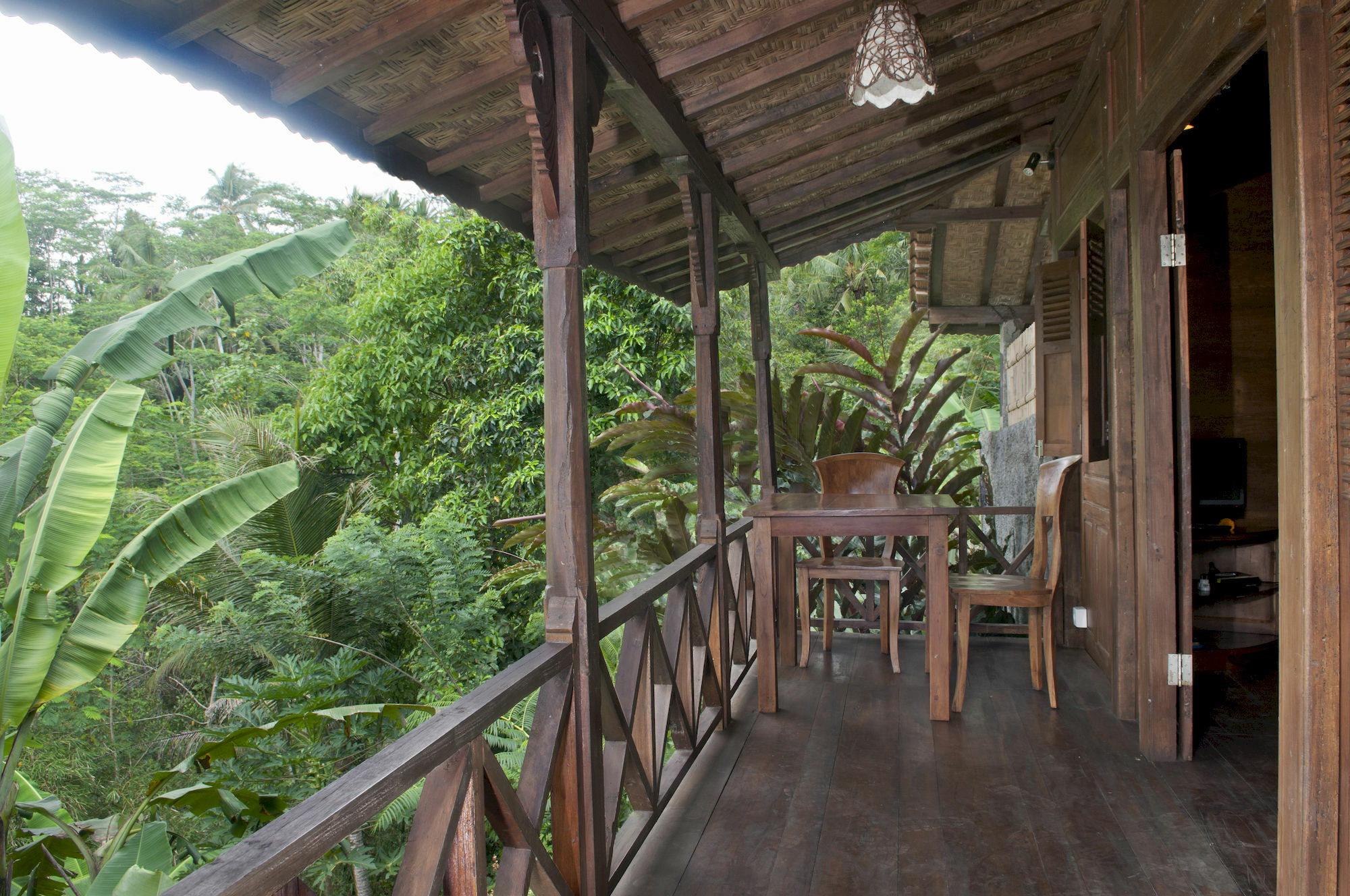 Hotel Dd Jungle