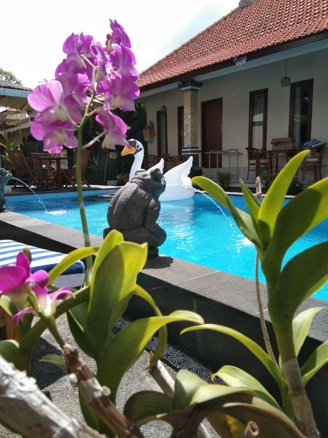 Guest house Sunwukong 3*