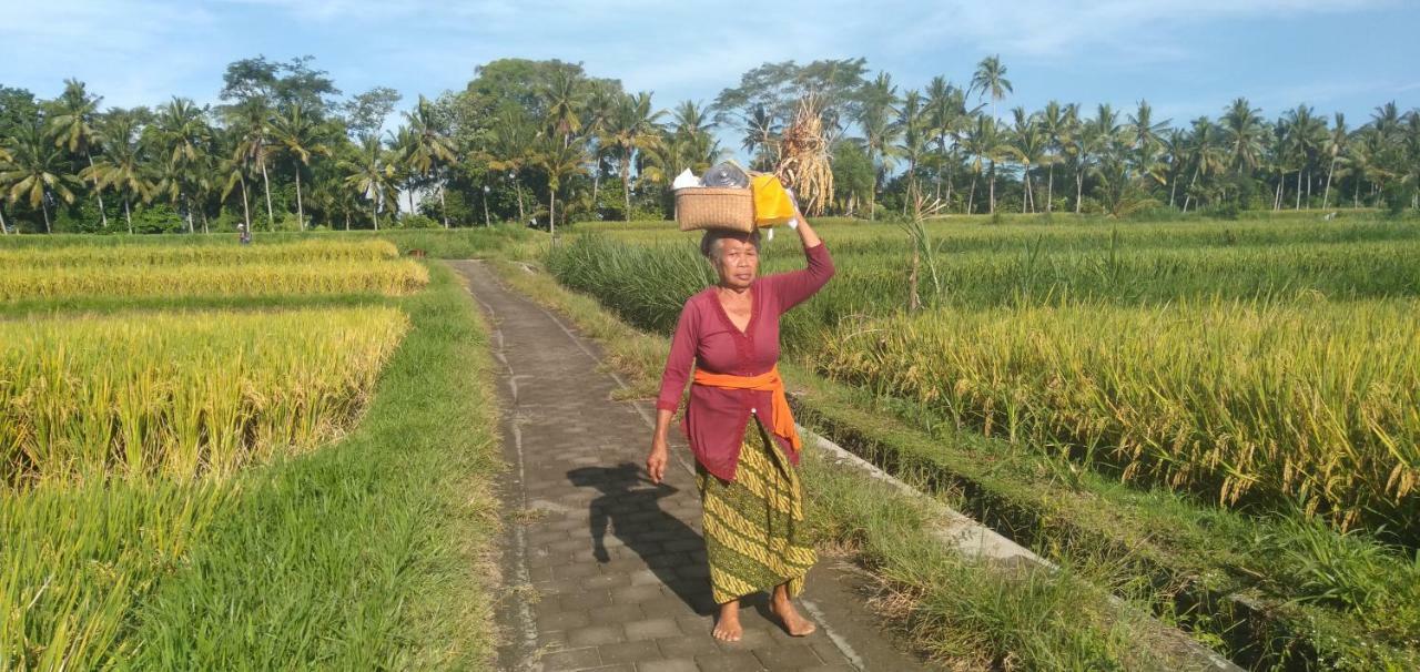 Lovely Sunrise 3 Bedroom Villa Ubud (Bali)