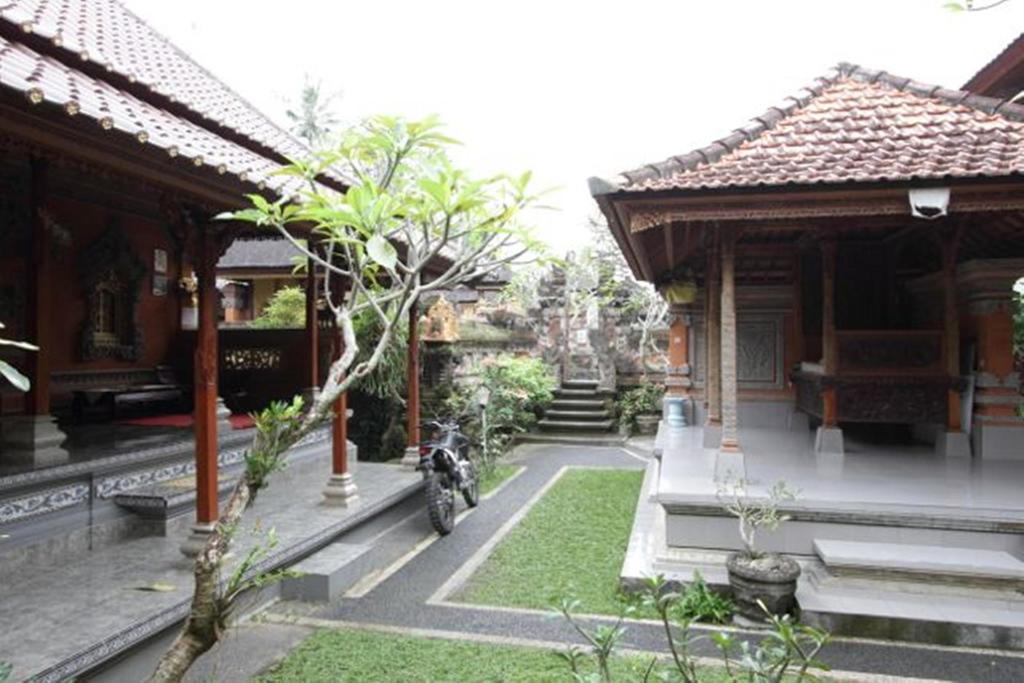 Citrus Tree - Hutama *
