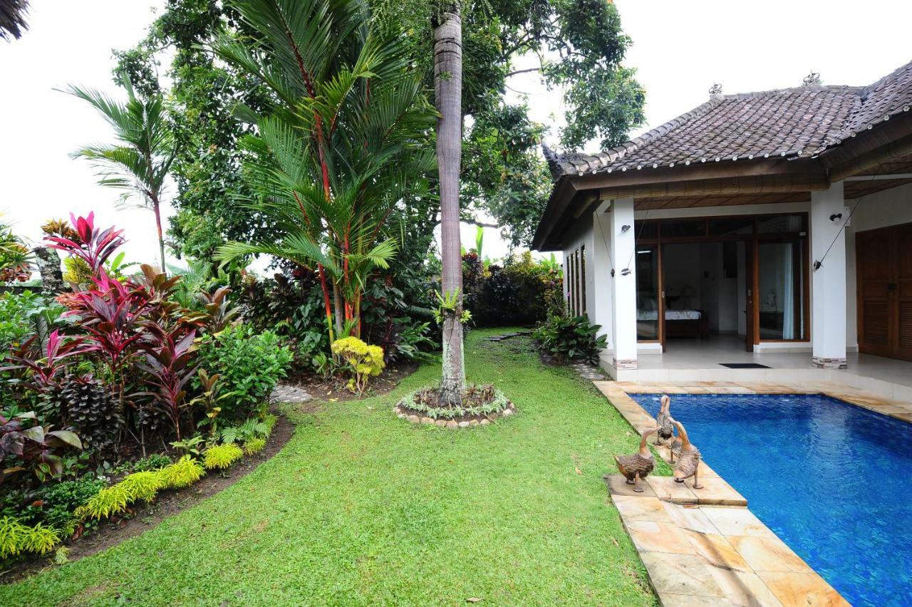 Mimpi * Ubud (Bali)