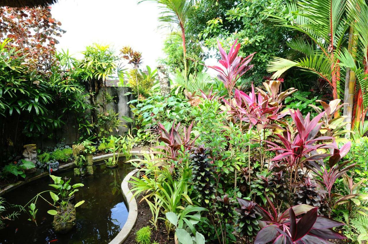 Villa Mimpi