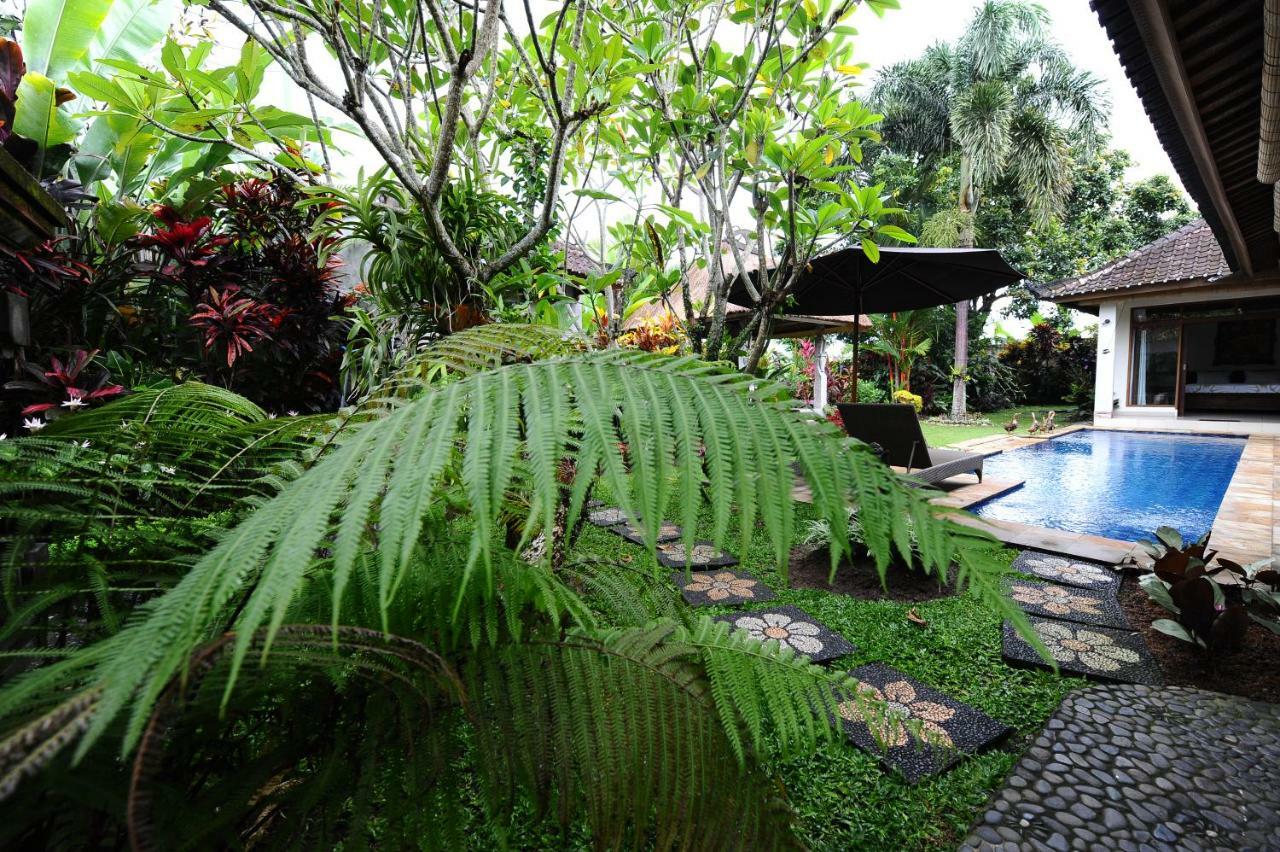 Mimpi Ubud (Bali)