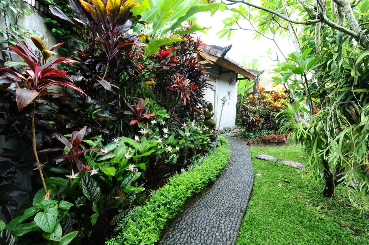Mimpi Ubud (Bali)