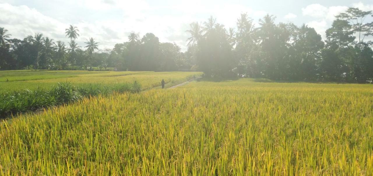 Villa Amara Giri I Ubud (Bali)