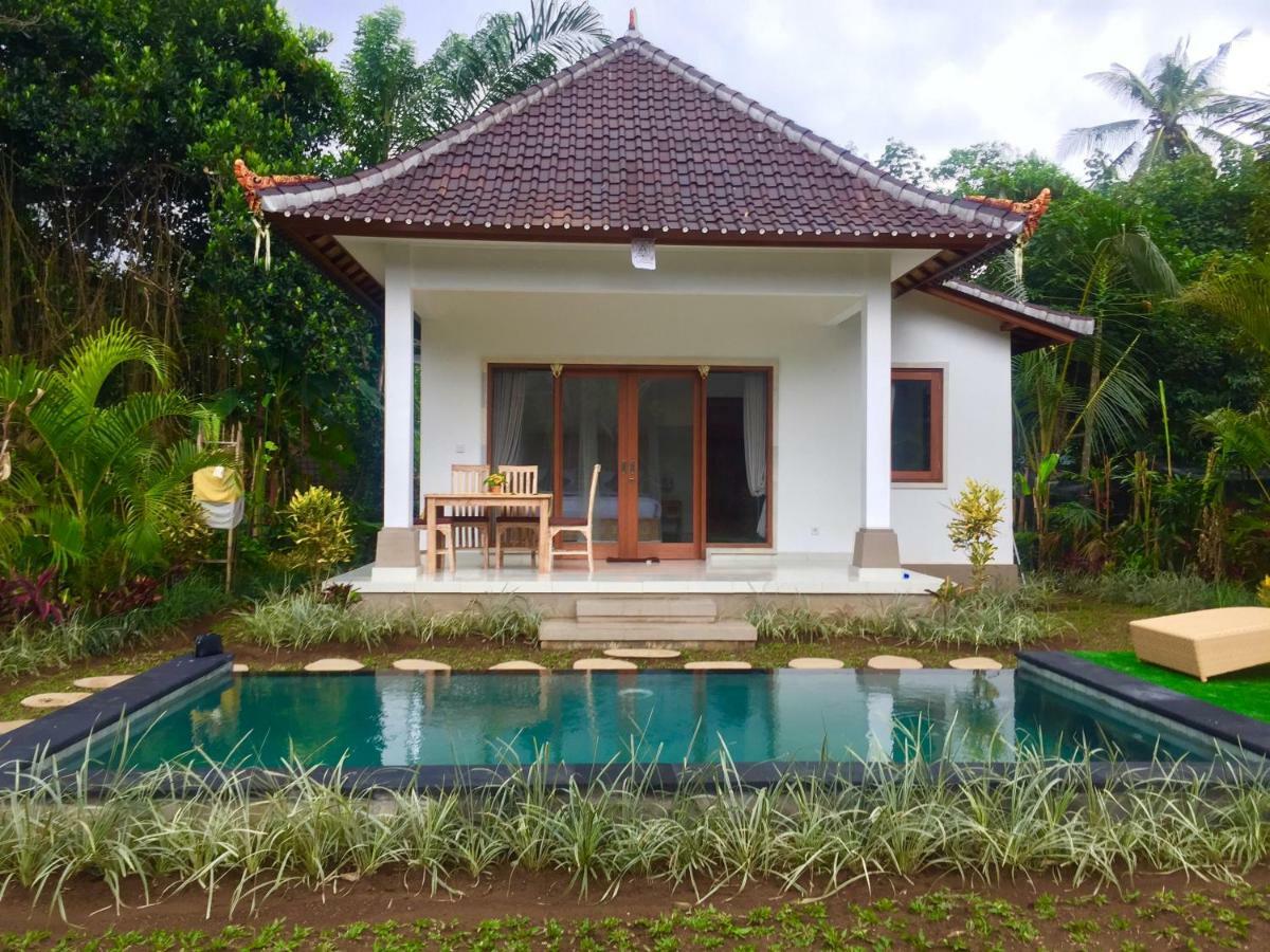 Mahesa
