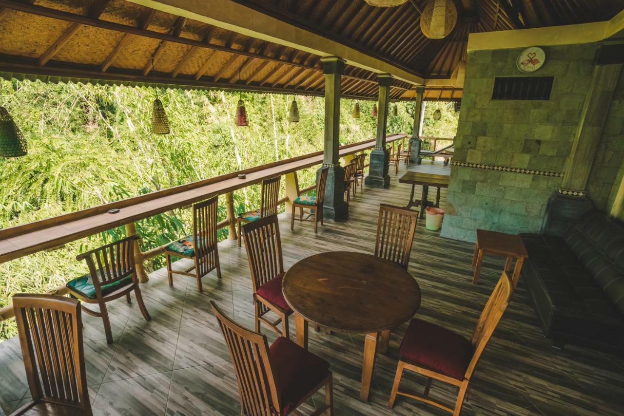 Ww Backpackers Hostel *
