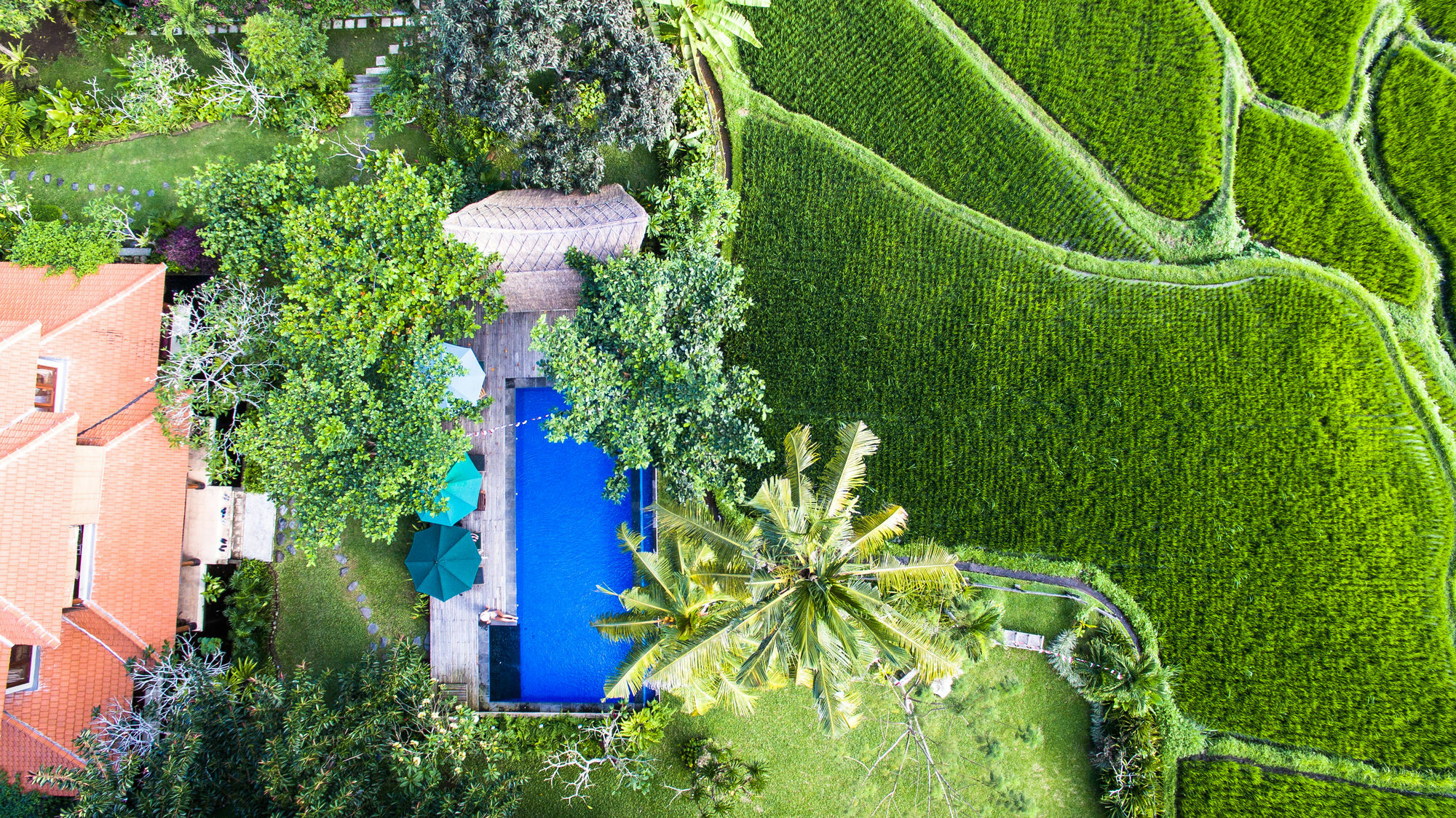 Omah Apik Hotel Ubud (Bali)