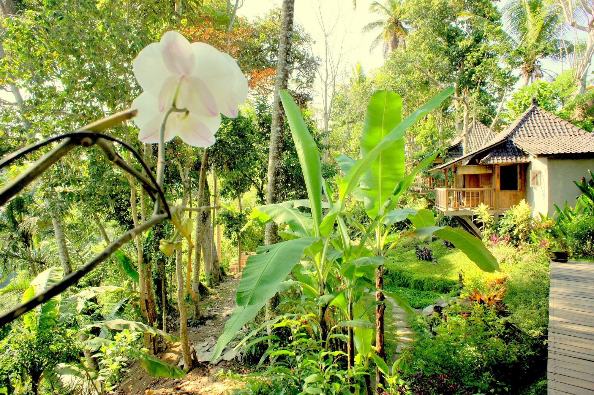 Prashanti Ubud (Bali)