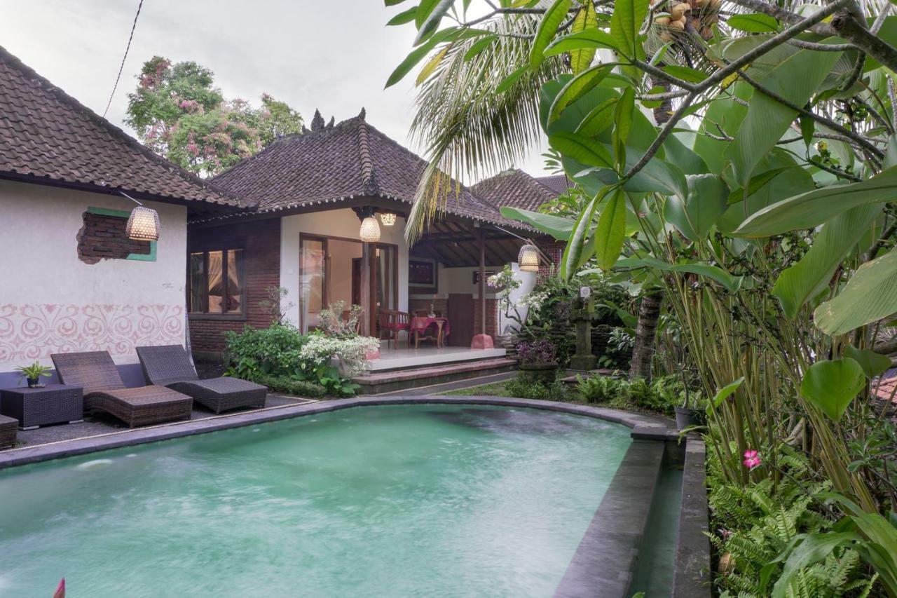 Budi House