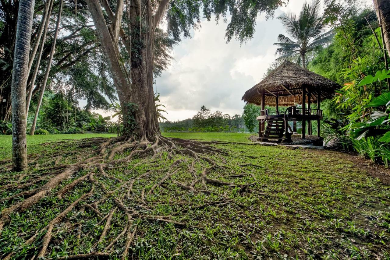 Kamaniiya River Sayan - Villa Ubud