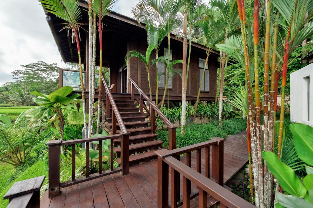 Kembang Bali * Ubud