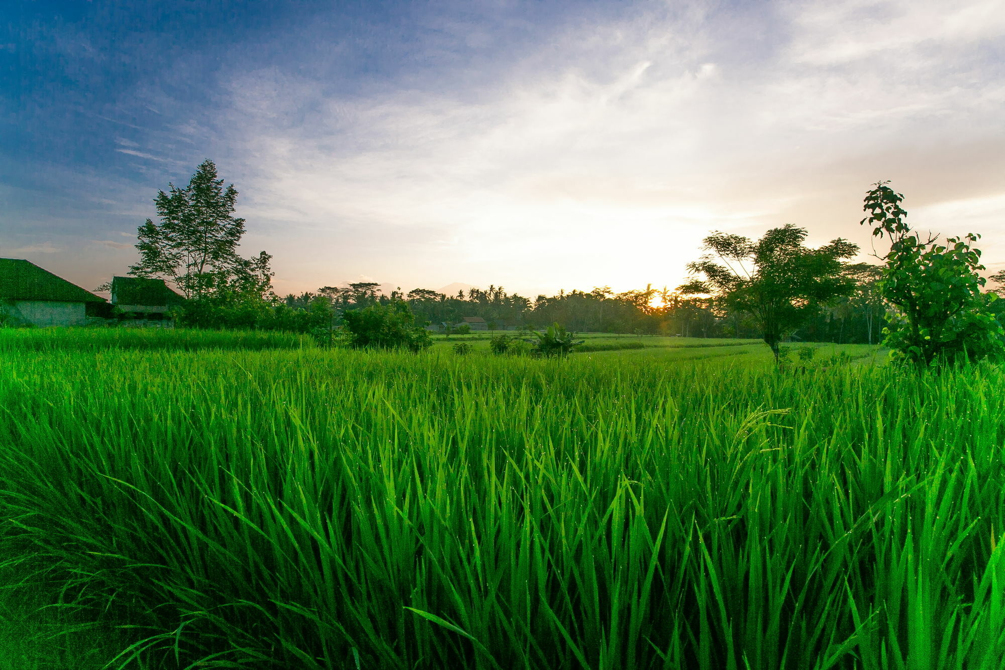 Pesantian Villa&warung By Ecommerceloka Gasthof 4*